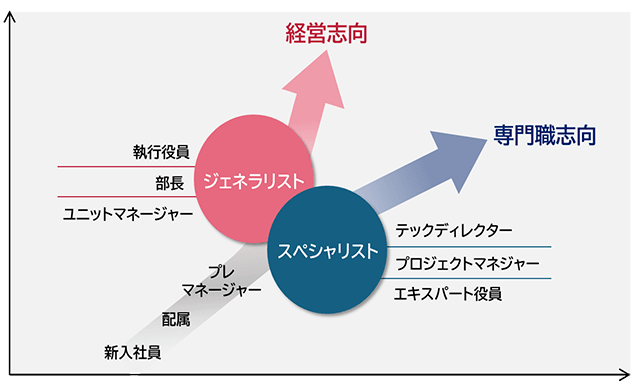 新入社員、配属、プレマネージャーの段階を踏んだ後、専門職志向の場合は、スペシャリストとしてテックディレクター、プロジェクトマネージャー、エキスパート役員のキャリアパスがある。経営志向の場合は、ジェネラリストとして執行役員、部長、ユニットマネージャーのキャリアパスが提供される。