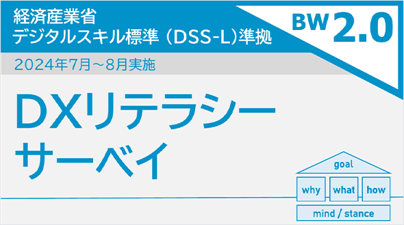 経済産業省デジタルスキル標準（DSS-L）準拠 2024年7月～8月実施 DXリテラシーサーベイ